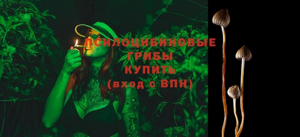 дживик Анжеро-Судженск