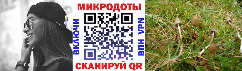 купить закладку  кракен как зайти  Псилоцибиновые грибы ЛСД  Приозерск 